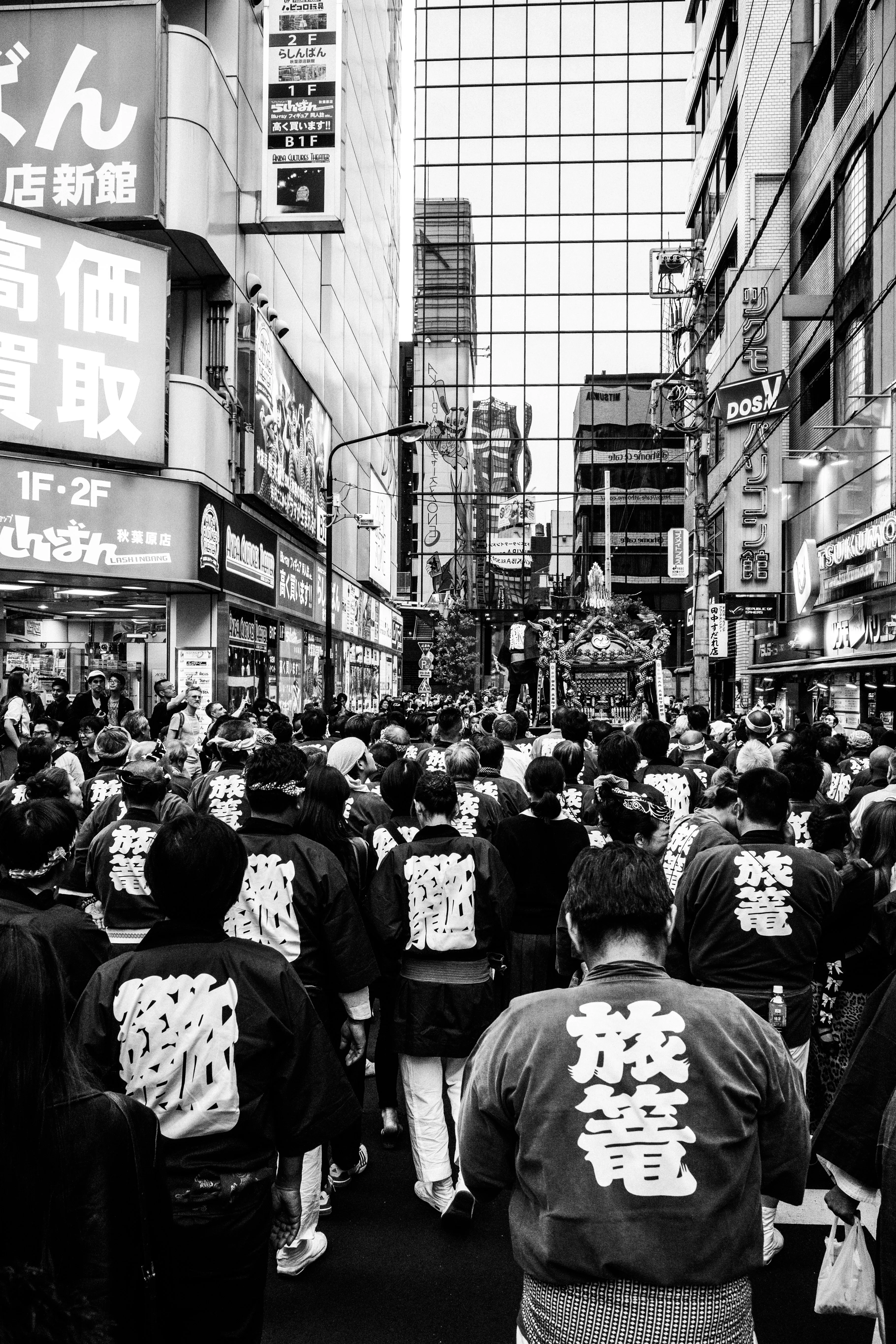 Matsuri, image 3