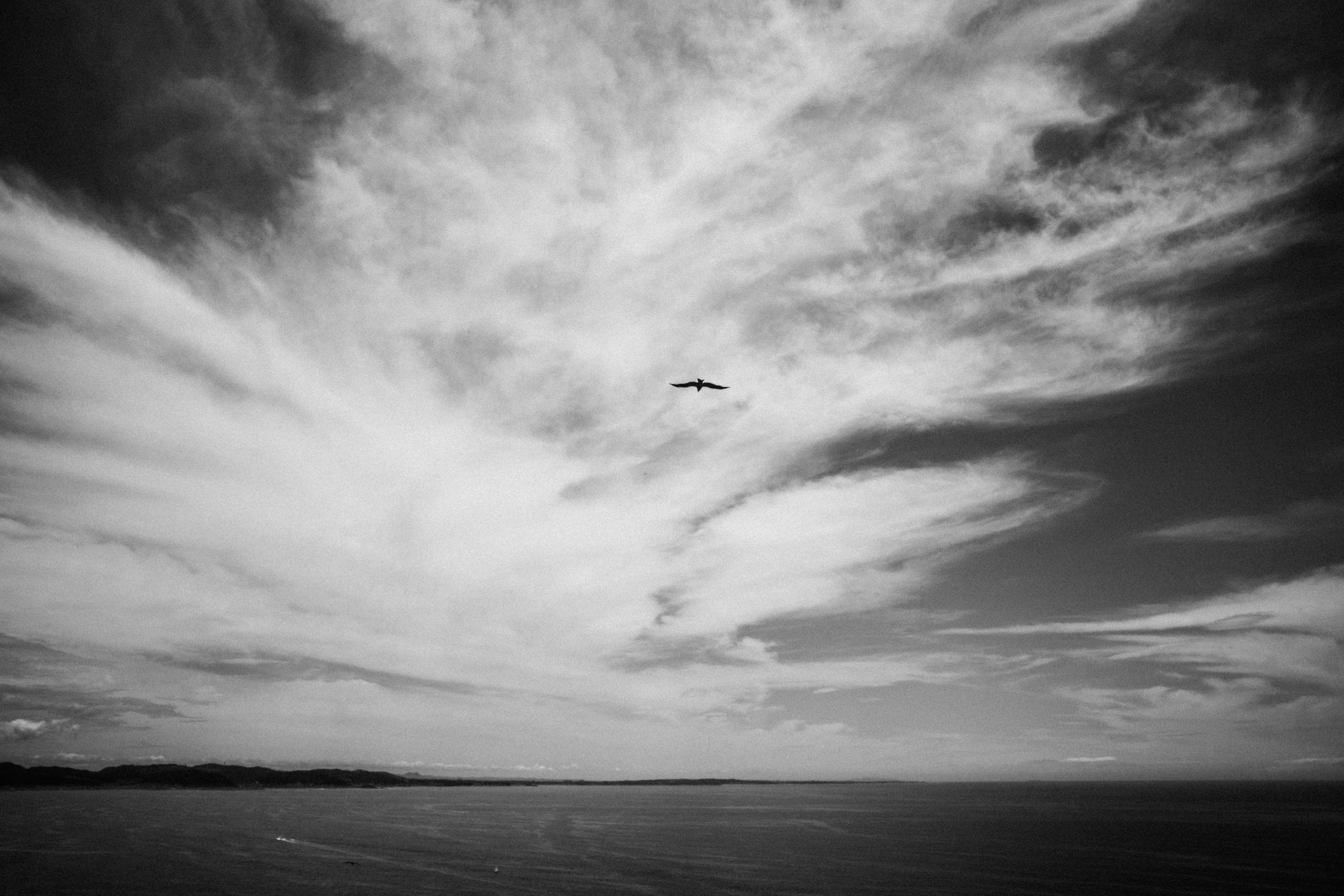 Enoshima, image 15